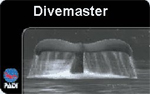 dive_master