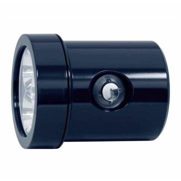 Bigblue TL2900P Light Head