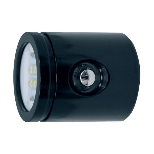 Bigblue VL4600P Light Head