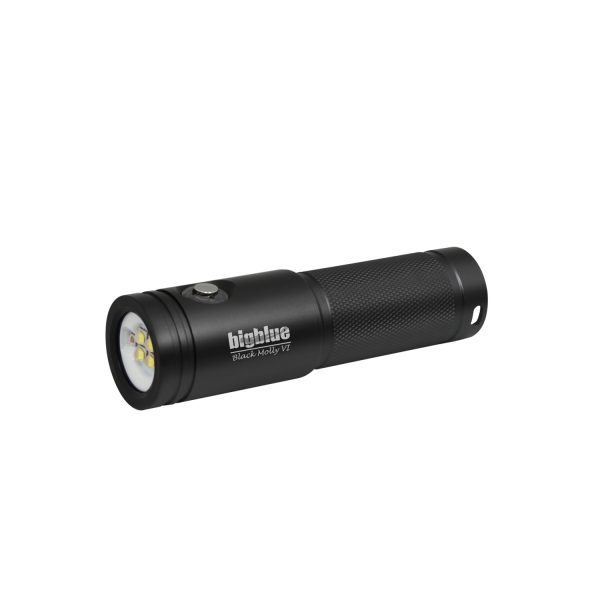 BIGBLUE Black Molly: 2000-Lumen Video Light