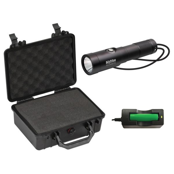 Bigblue Kit - AL1300NPT with Protective Case - Image 2