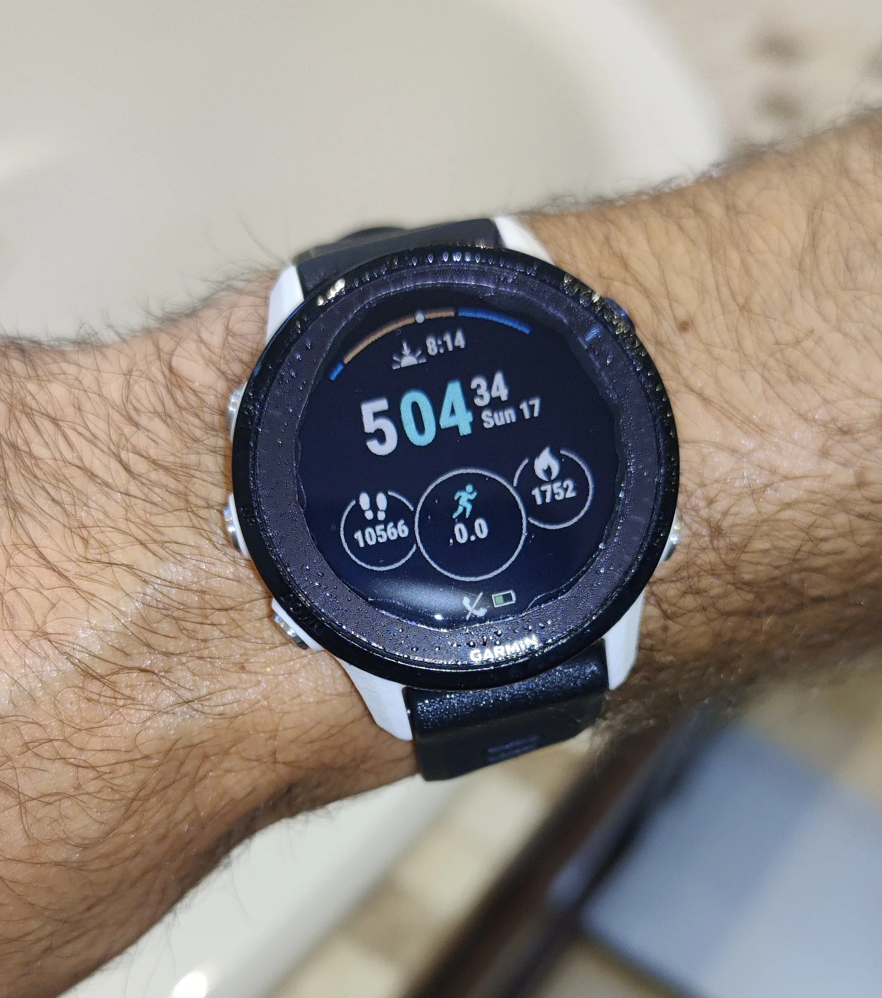 DIY Fog-X Films - Image 4